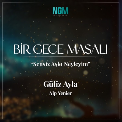 Sensiz Aşkı Neyleyim (Bir Gece Masalı) kapağı